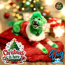 Dog Fashion Mobile Grooming - Book TODAY