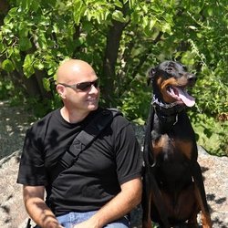 Dog Coach - Training dogs together.