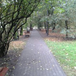 Sady Żoliborskie - Piękna jesień