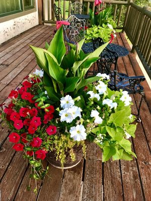 Bear Lake Golf Course by null