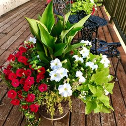 Bear Lake Golf Course - Flower pots.