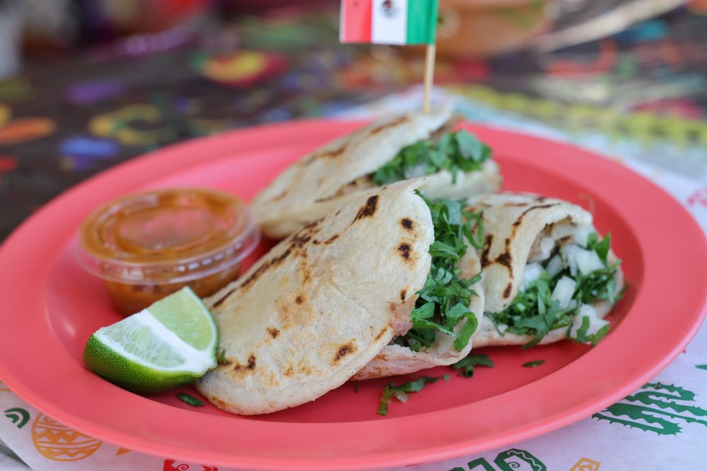 Food from Taco Fiesta Hinojosa