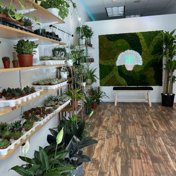 NY City Succulents - Nurseries & Gardening Near Me - Astoria, New York NY City Succulents - Nurseries & Gardening Near Me - Astoria, New York