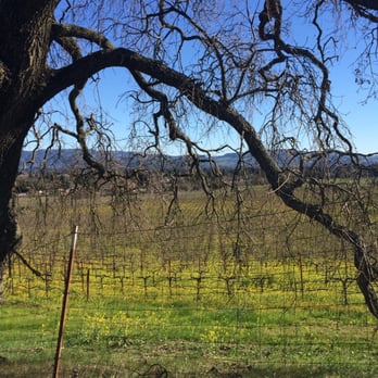 Alston Park - Spectacular view - Dog Parks Near Me - Napa, California Alston Park - Spectacular view - Dog Parks Near Me - Napa, California