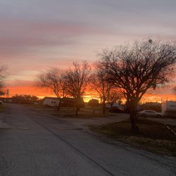 Alamo Fiesta Rv Resort
