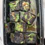 Photo of Jin Men BBQ Cart