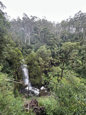 Erskine Falls by null