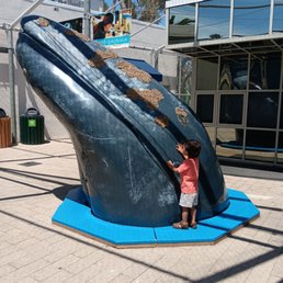 Model of a whale