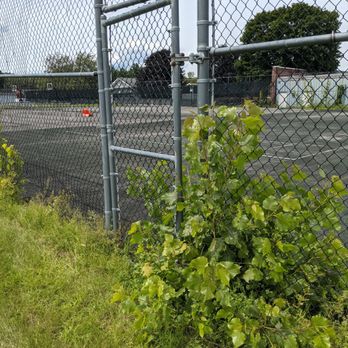 SUNY Adirondack - the door was overrun by weeds, looks like an abandoned parking lot - Colleges & Universities Near Me - Queensbury, New York
