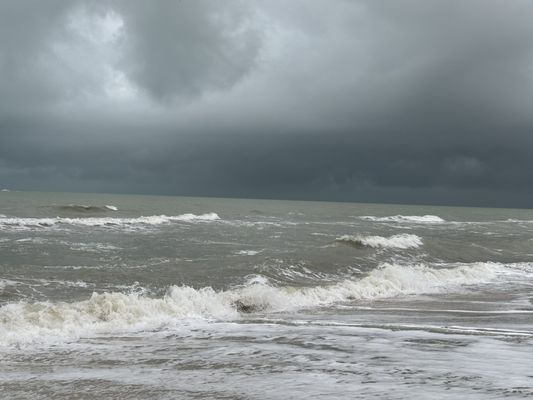 Delnor-Wiggins Pass State Park by null