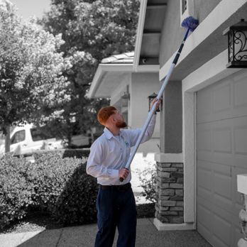Pest Pros Pest Solutions - Pest Control Near Me - Sacramento, California Pest Pros Pest Solutions - Pest Control Near Me - Sacramento, California