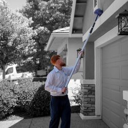 Pest Pros Pest Solutions