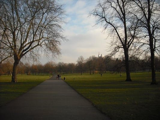 Greenwich Park by null