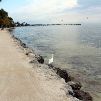 Cheeca Lodge & Spa - The "beach" has no actual sand and you can't really go swimming. - Resorts Near Me - Islamorada, Florida Cheeca Lodge & Spa - The "beach" has no actual sand and you can't really go swimming. - Resorts Near Me - Islamorada, Florida
