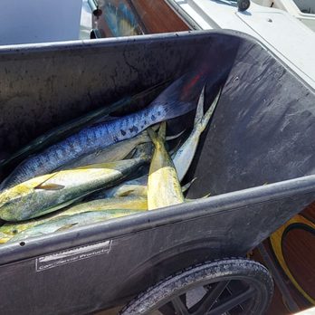 Key Largo Fisheries - Someone on the docks catches of the day - Seafood Near Me - Key Largo, Florida