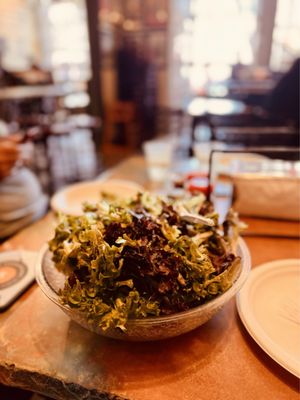 Red Dog Saloon by null