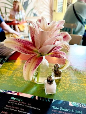 Cuba Cuba Cafe & Bar by null