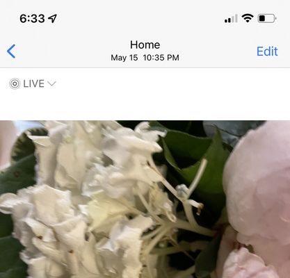 Sada's Flowers💐 by null