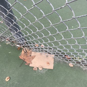 Liberty Park - Need some writing medium? Look no further! Liberty Park Tennis courts provide all sorts of random rubbish! - Parks Near Me - Cerritos, California