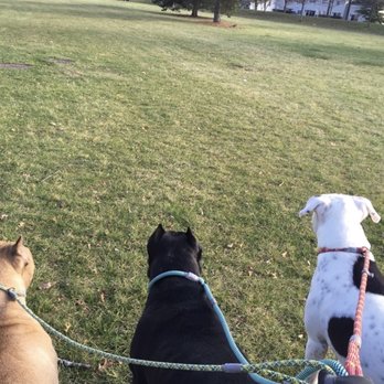 Pups R Us - Dog Walkers Near Me - Lakemoor, Illinois Pups R Us - Dog Walkers Near Me - Lakemoor, Illinois
