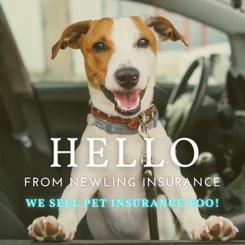Allstate Insurance: Amy Newling - Home & Rental Insurance Near Me - Villa Park, Illinois Allstate Insurance: Amy Newling - Home & Rental Insurance Near Me - Villa Park, Illinois