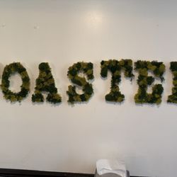 Toasted Bagel Cafe