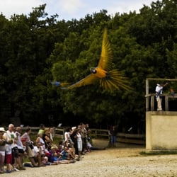 Rocher des Aigles