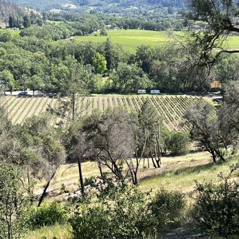 Rombauer Vineyards - View of the vineyards - Wineries Near Me - St. Helena, California Rombauer Vineyards - View of the vineyards - Wineries Near Me - St. Helena, California