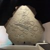 HMNS Museum Store gift card