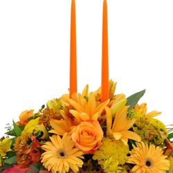 Knees Florist & Emporium - Perfect Thanksgiving Centerpiece