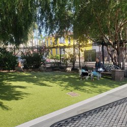 Little Italy Dog Park - Small dog area