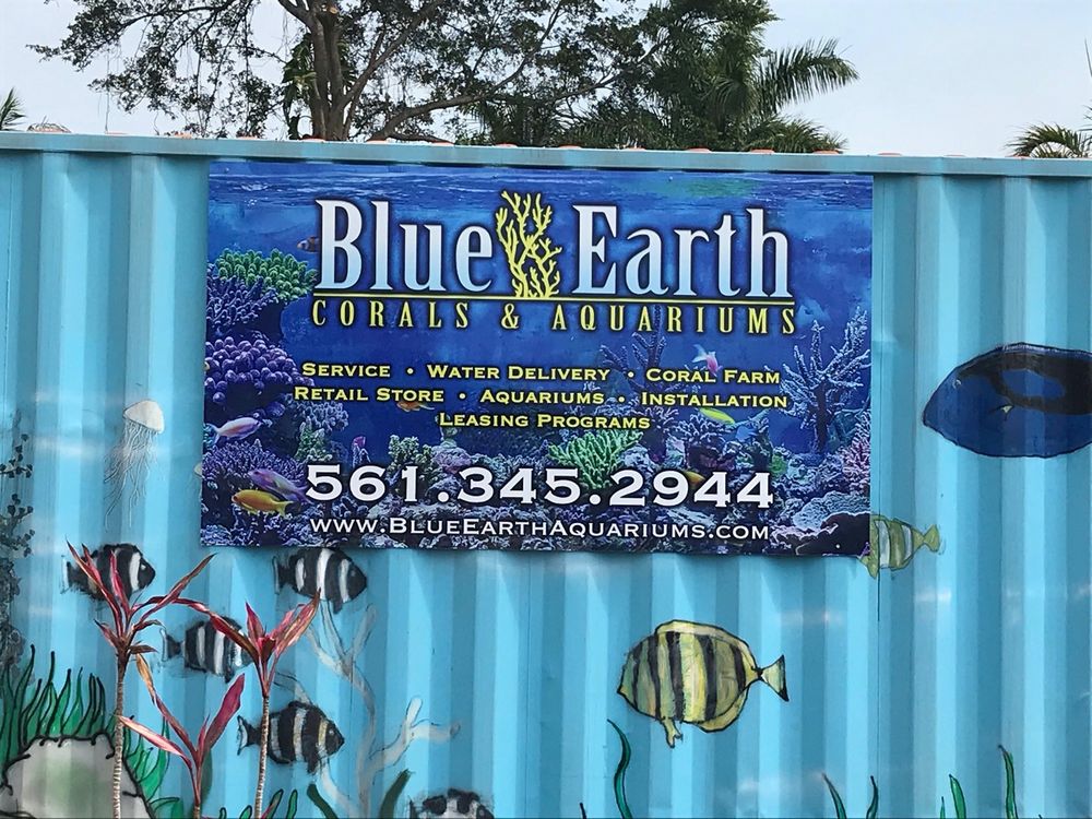 BLUE EARTH CORALS & AQUARIUMS Updated September 2024 20 Photos & 12