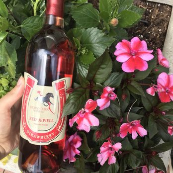 Dahlonega Tasting Room - Strawberry wine - Wine Tasting Room Near Me - Dahlonega, Georgia Dahlonega Tasting Room - Strawberry wine - Wine Tasting Room Near Me - Dahlonega, Georgia