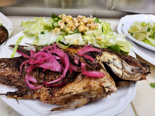 El Tajin Mexican Restaurant by null