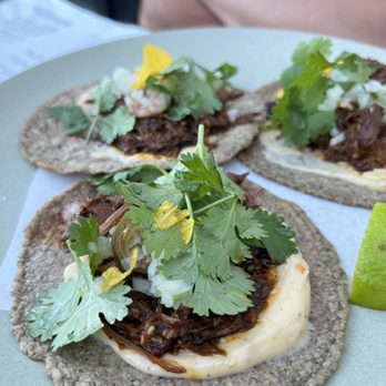 Colita - Lamb tacos - New American Near Me - Minneapolis, Minnesota Colita - Lamb tacos - New American Near Me - Minneapolis, Minnesota
