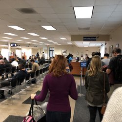 Department of Motor Vehicles