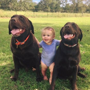 JLC Veterinary Service - Veterinarians Near Me - Elgin, Texas