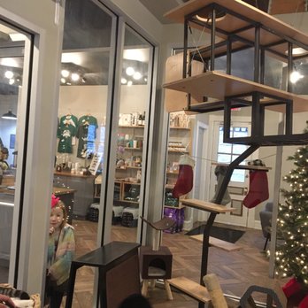 Gem City Catfé - Coffee & Tea Near Me - Dayton, Ohio