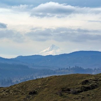 Labyrinth Trail - Hood in the distance - Hiking Near Me - Lyle, Washington Labyrinth Trail - Hood in the distance - Hiking Near Me - Lyle, Washington