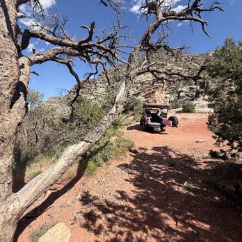 Pink Jeep Tours - Travel Services Near Me - Las Vegas, Nevada Pink Jeep Tours - Travel Services Near Me - Las Vegas, Nevada