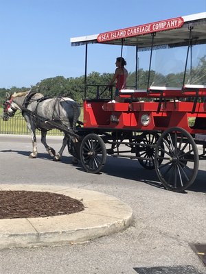 Sea Island Carriage Company by null