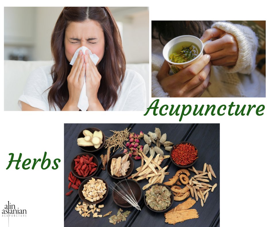 ZEN ACUPUNCTURE & HERBS Updated August 2024 30 Photos & 24 Reviews