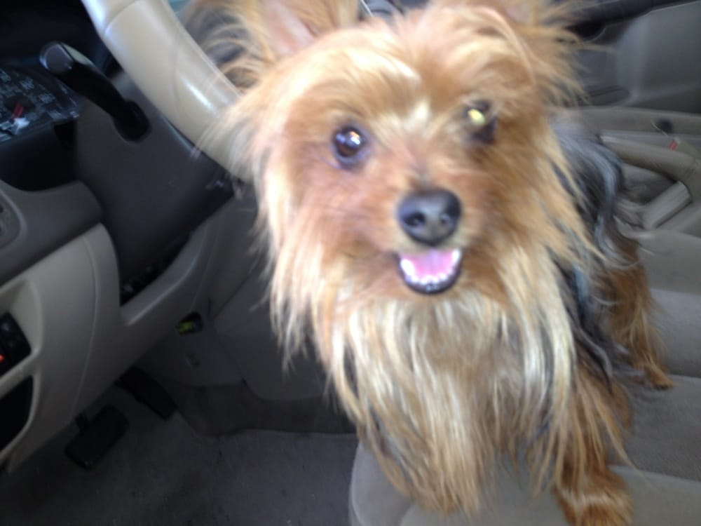 San Gerardo Veterinary Hospital Image