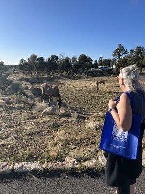 Trailer Village RV Park by null