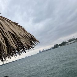Aloha Tiki Tours - Fun day on the water