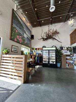 Root Wild Kombucha by null