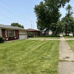 Guffey’s Tree Care - After photo