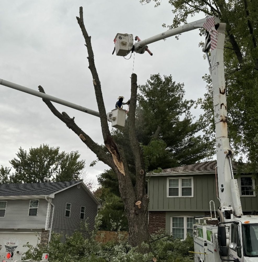 Central Iowa Outdoors - tree service in Des Moines, IA