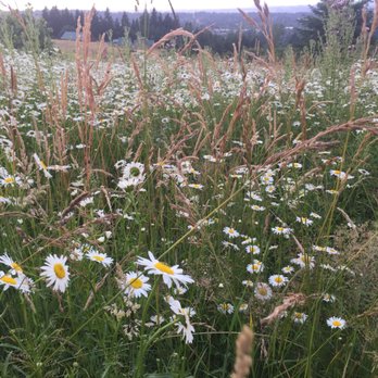 Powell Butte Nature Park - Parks Near Me - Portland, Oregon