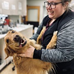 University West Pet Clinic